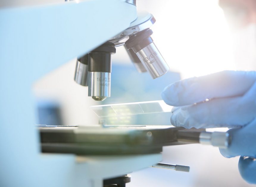 maplight,-respaldada-por-novo,-recauda-258,9-millones-de-dolares-en-colocacion-y-oferta-publica-inicial-en-ee-uu.