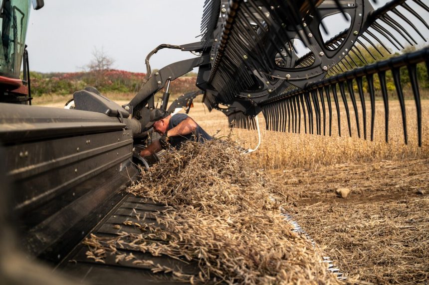 china-desacelera-las-compras-de-soja-antes-de-la-cumbre-xi-trump
