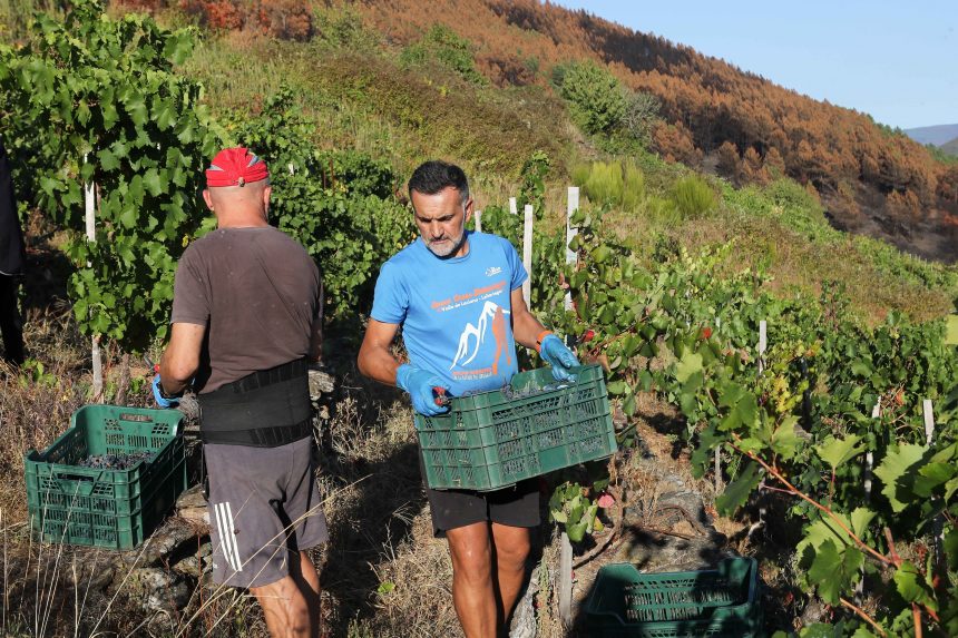 mas-que-una-feria-sobre-el-campo