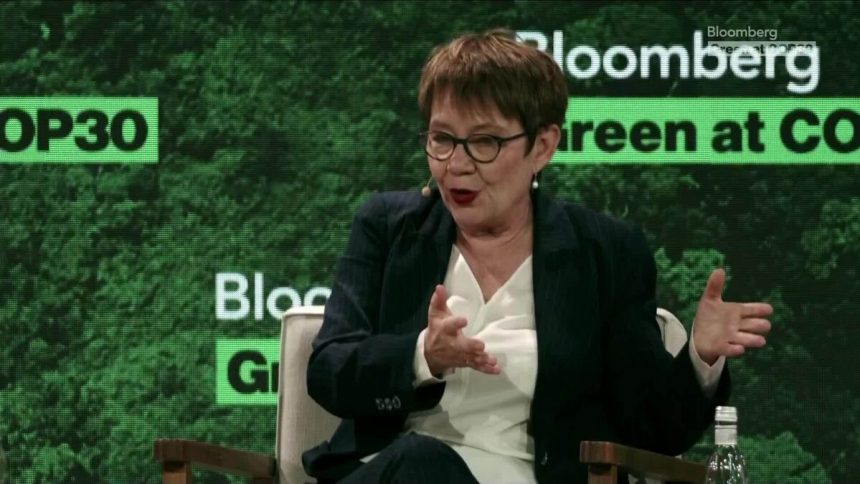 el-presidente-del-berd-habla-sobre-la-movilizacion-de-capital-privado-para-el-clima