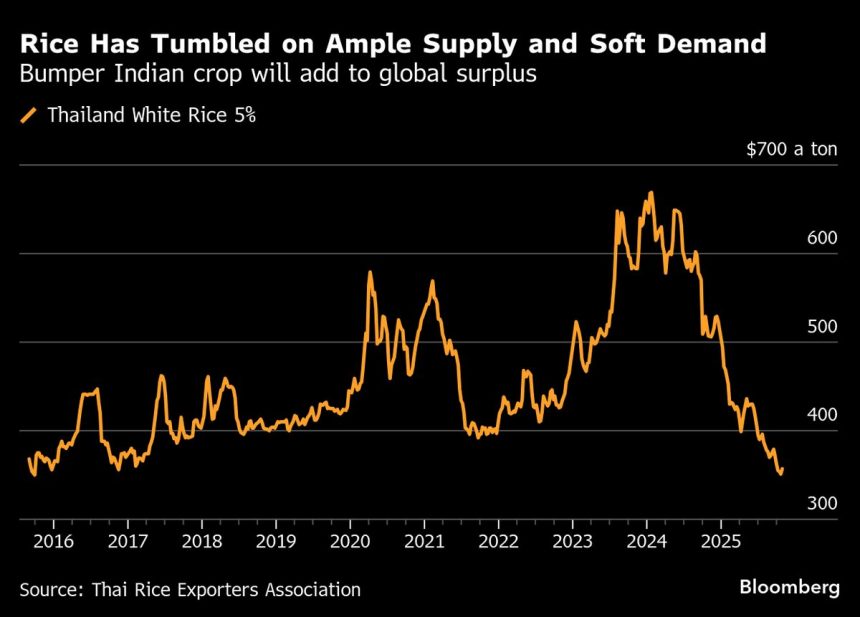 los-precios-del-arroz-en-asia-enfrentan-mas-presion-por-la-excelente-cosecha-india