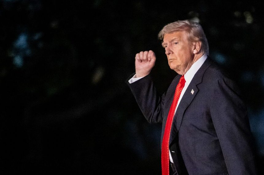 trump-compra-otros-82-millones-de-dolares-en-bonos-corporativos-y-municipales