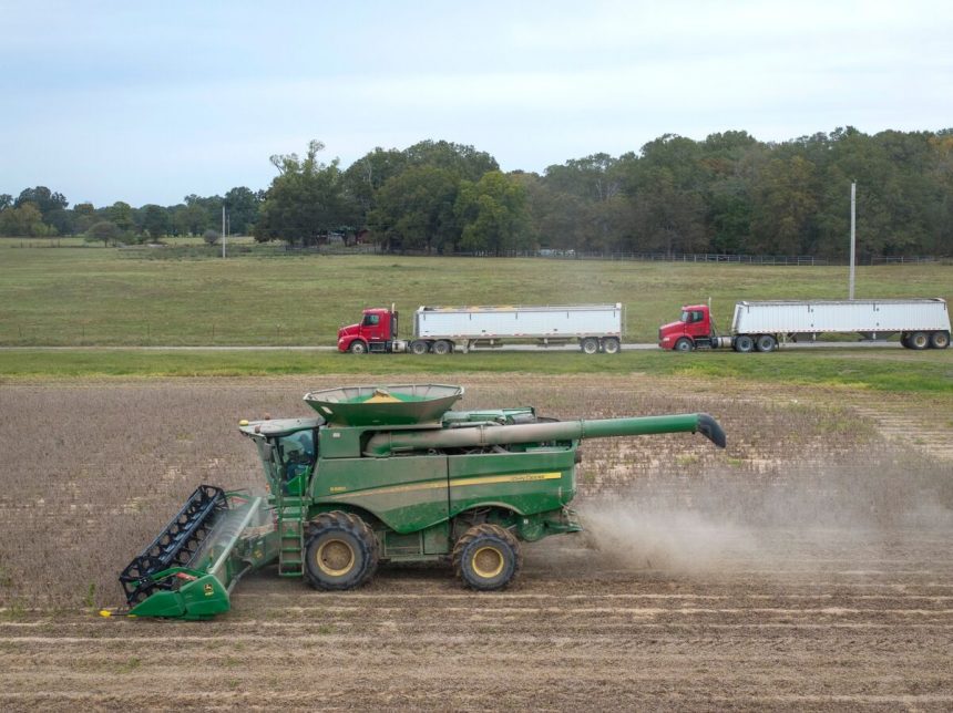 los-futuros-de-la-soja-se-recuperan-ante-las-senales-de-que-china-esta-aumentando-las-compras