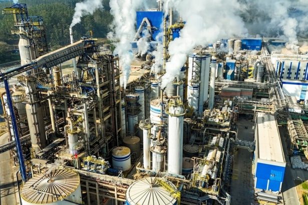 piloto-sueco-de-captura-de-carbono-basado-en-el-ministerio-de-hacienda-para-evaluar-el-co2-biogenico-procedente-de-la-silvicultura