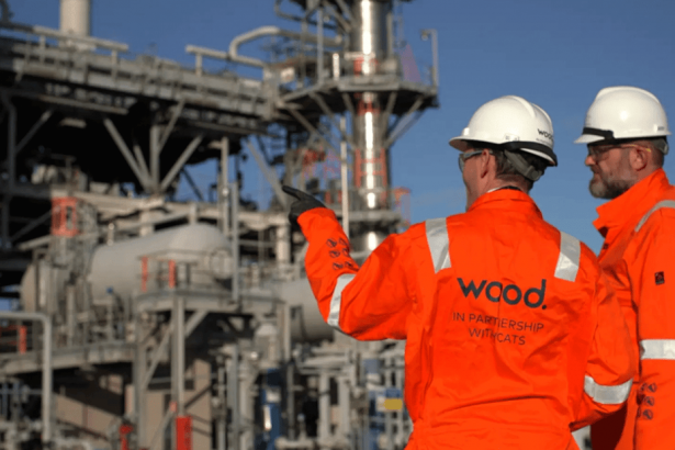 las-ensenanzas-de-la-venta-de-madera-a-sidara