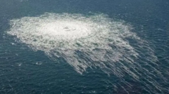 italia-extraditara-a-alemania-al-sospechoso-de-la-explosion-del-nord-stream