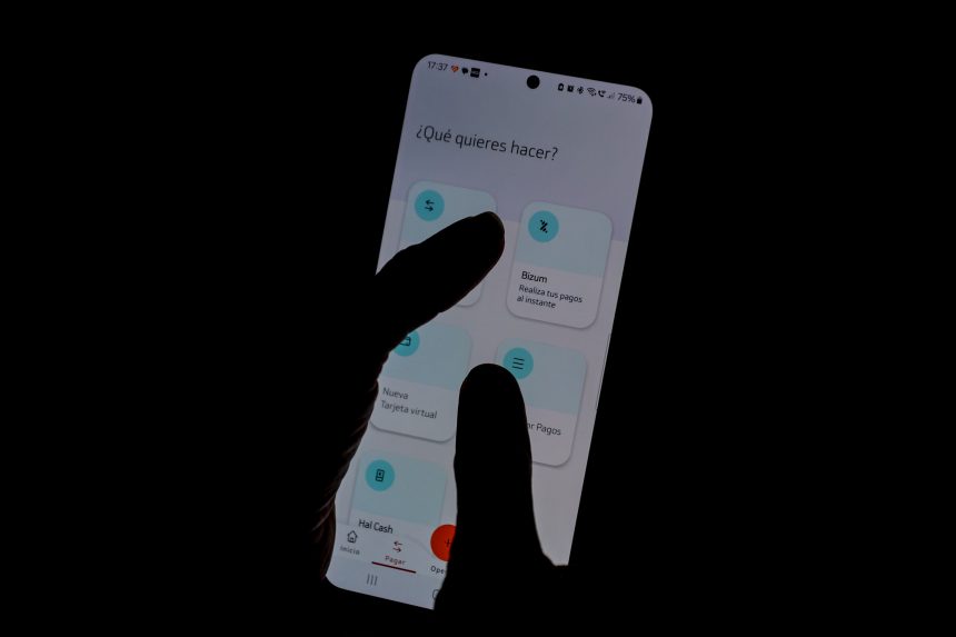 bizum-lanzara-en-2026-una-plataforma-de-pago-en-comercios-para-hacer-frente-a-visa-y-mastercard