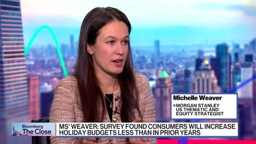weaver-de-morgan-stanley:-las-acciones-de-gran-capitalizacion-son-«realmente-una-operacion-de-calidad»