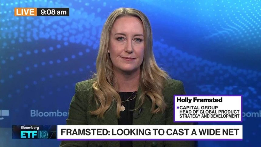 el-uso-del-fondo-de-clase-mutua-de-acciones-sera-limitado:-framsted