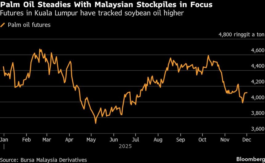 el-aceite-de-palma-mantiene-ganancias-de-tres-dias-con-las-reservas-de-malasia-en-el-punto-de-mira