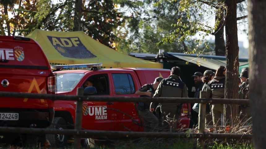 el-gobierno-confirma-que-china-seguira-importando-porcino-espanol-pese-al-brote