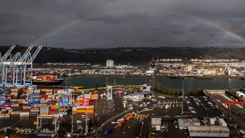 la-ocde-alerta-de-que-el-crecimiento-economico-global-seguira-siendo-“fragil”