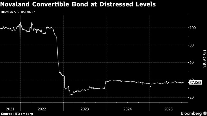 novaland-apunta-al-pago-de-bonos-minoristas-en-junio-para-abordar-los-problemas-de-deuda