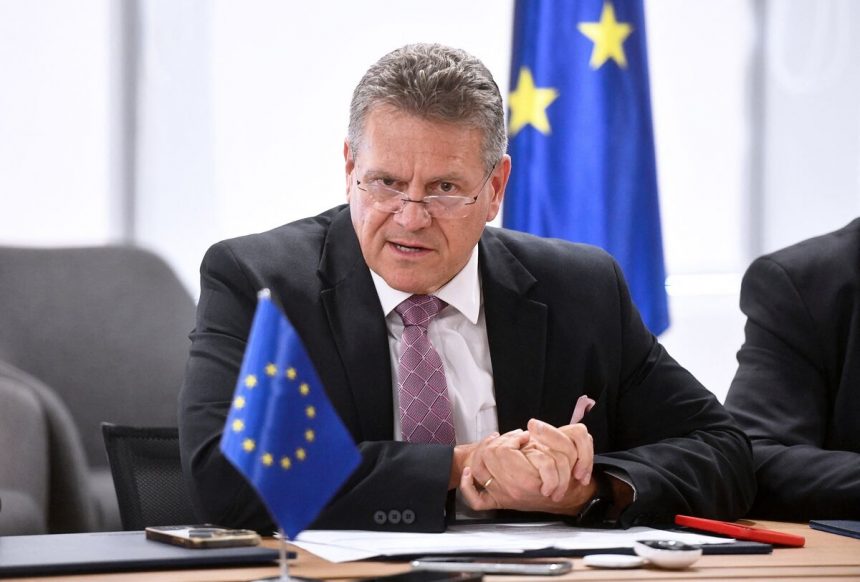 la-ue-impulsa-planes-de-seguridad-economica-a-medida-que-aumentan-las-tensiones-entre-estados-unidos-y-china