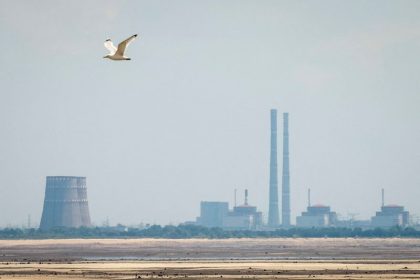 la-planta-nuclear-ucraniana-de-zaporizhzhia-se-quedo-temporalmente-sin-energia-durante-la-noche,-dice-la-oiea