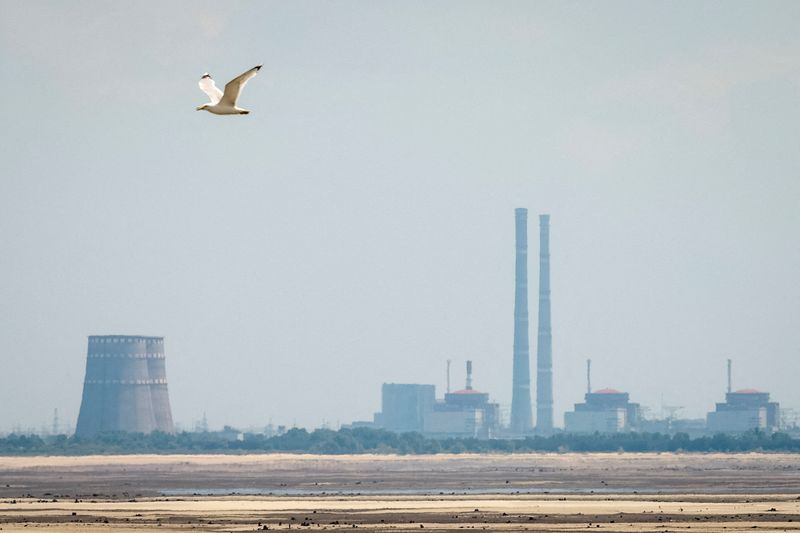 la-planta-nuclear-ucraniana-de-zaporizhzhia-se-quedo-temporalmente-sin-energia-durante-la-noche,-dice-la-oiea