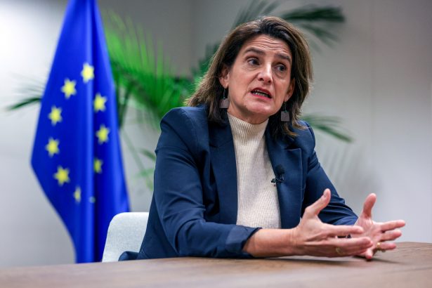 murtra-se-reune-con-teresa-ribera-en-bruselas-para-pedir-facilidades-a-las-fusiones-de-‘telecos’-en-europa