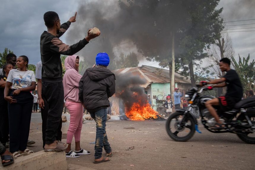 tanzania-prohibe-las-protestas-del-dia-de-la-independencia-y-los-activistas-instan-a-la-participacion