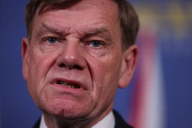 maximo-diplomatico-aleman-ve-progresos-en-conversaciones-con-china-sobre-tierras-raras