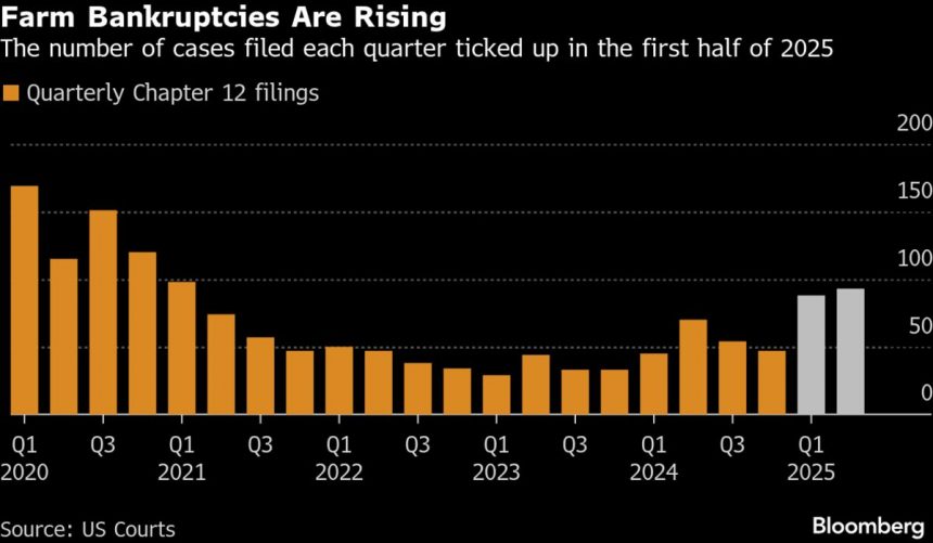 los-agricultores-estadounidenses-dicen-que-un-rescate-de-12.000-millones-de-dolares-no-pondra-fin-a-la-crisis-de-la-industria