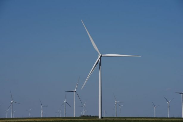 juez-estadounidense-rechaza-suspension-de-permisos-de-energia-eolica-por-parte-de-la-administracion-trump