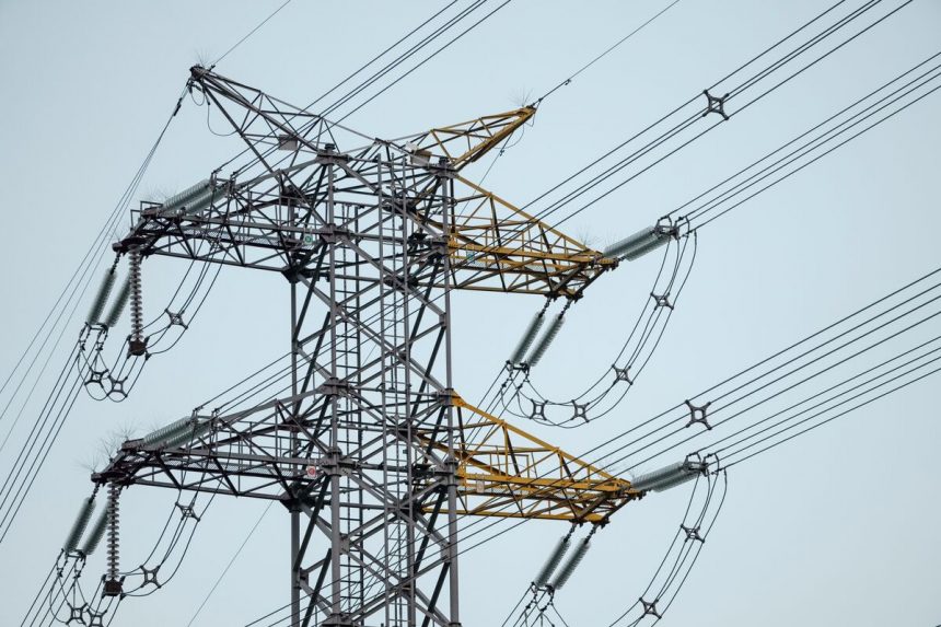 octopus-energy-preve-alcanzar-el-millon-de-clientes-espanoles-el-proximo-ano