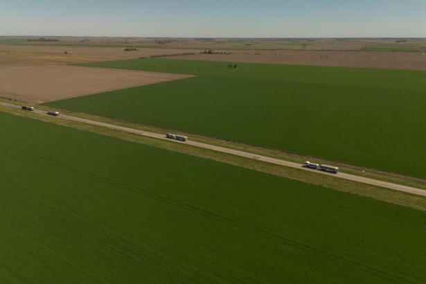 milei-reduce-impuestos-a-las-exportaciones-de-soja,-maiz-y-trigo-argentinos