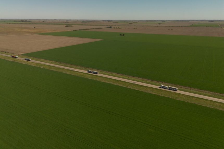 milei-reduce-impuestos-a-las-exportaciones-de-soja,-maiz-y-trigo-argentinos