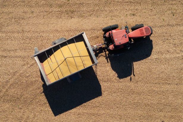 china-ha-comprado-mas-de-la-mitad-de-la-soja-que-prometio-a-eeuu.