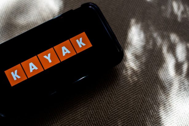 la-demanda-de-viajes-aumenta,-las-tarifas-bajan,-dice-el-director-ejecutivo-de-kayak