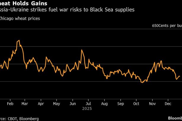 el-comercio-de-trigo-se-acerca-al-maximo-de-una-semana-debido-al-aumento-de-las-tensiones-en-el-mar-negro