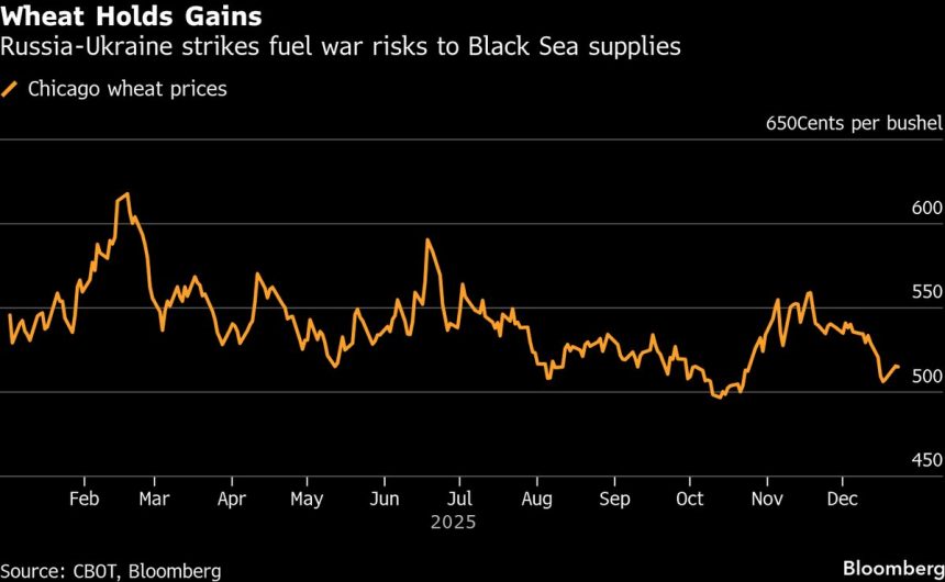 el-comercio-de-trigo-se-acerca-al-maximo-de-una-semana-debido-al-aumento-de-las-tensiones-en-el-mar-negro