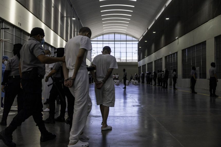 estados-unidos-debe-organizar-el-regreso-de-los-venezolanos-deportados,-dictamina-un-juez