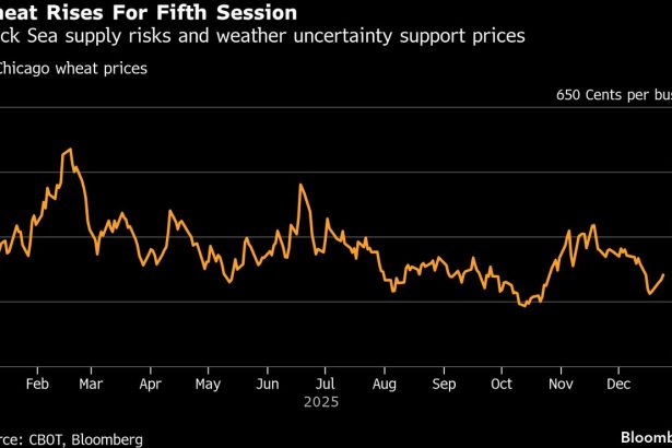 el-trigo-se-encamina-a-su-mayor-repunte-desde-abril-por-la-guerra-y-los-riesgos-climaticos