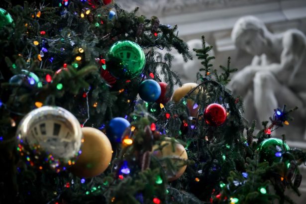 algunos-lotes-extranos-de-escucha-adyacente