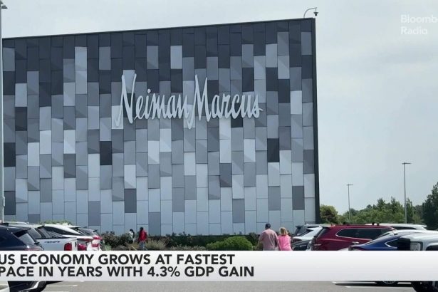 la-deuda-de-los-consumidores-es-un-posible-obstaculo-para-el-comercio-minorista,-dice-auchincloss-de-ey-parthenon