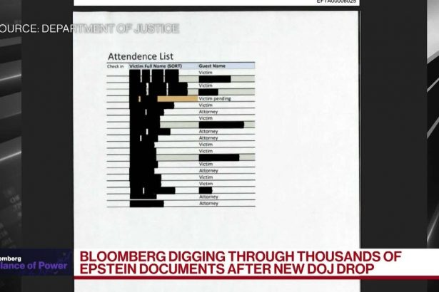 robert-mcwhirter-sobre-las-redacciones-del-archivo-epstein