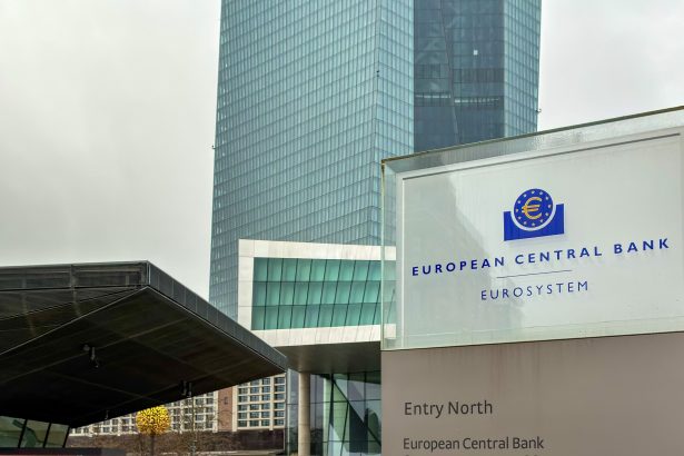 eurobonos-gracias-a-ley-de-la-gravedad