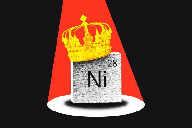 como-un-ex-comerciante-solitario-de-glencore-se-convirtio-en-el-rey-del-niquel-de-indonesia