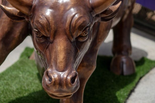 como-2025-se-convirtio-en-el-ano-de-la-opi-india