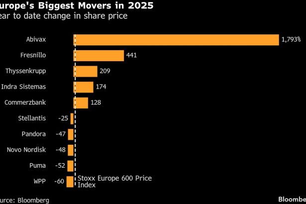 las-acciones-de-los-bancos-europeos-tuvieron-un-ano-excelente,-pero-novo-y-puma-perdieron