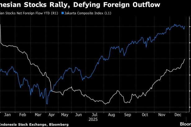 las-acciones-indonesias-logran-el-mejor-ano-desde-2014-gracias-a-los-flujos-minoristas