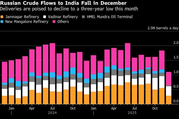los-flujos-de-petroleo-ruso-hacia-la-india-se-hunden,-pero-la-dependencia-puede-limitar-su-caida