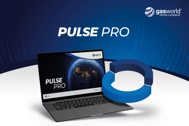 construyendo-las-bases-de-la-inteligencia