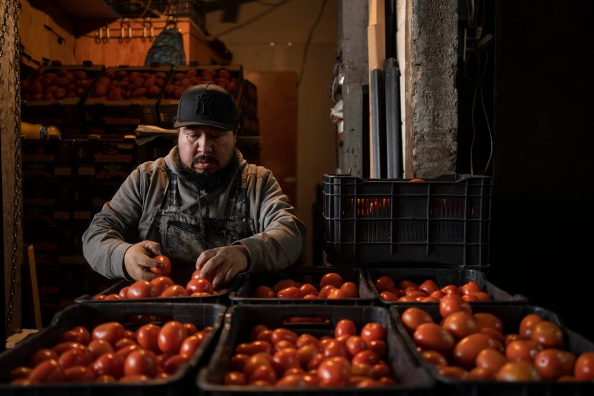 ¡cuate,-aqui-hay-tomate!-los-malabares-de-mexico-para-salvar-las-ventas-de-su-huerta