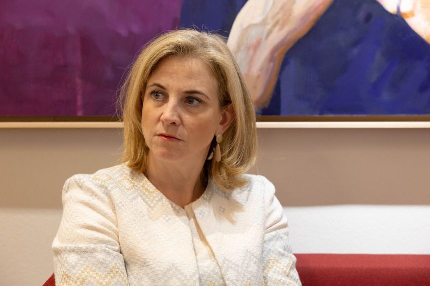 austria-busca-aprovechar-su-neutralidad-en-diplomacy-drive