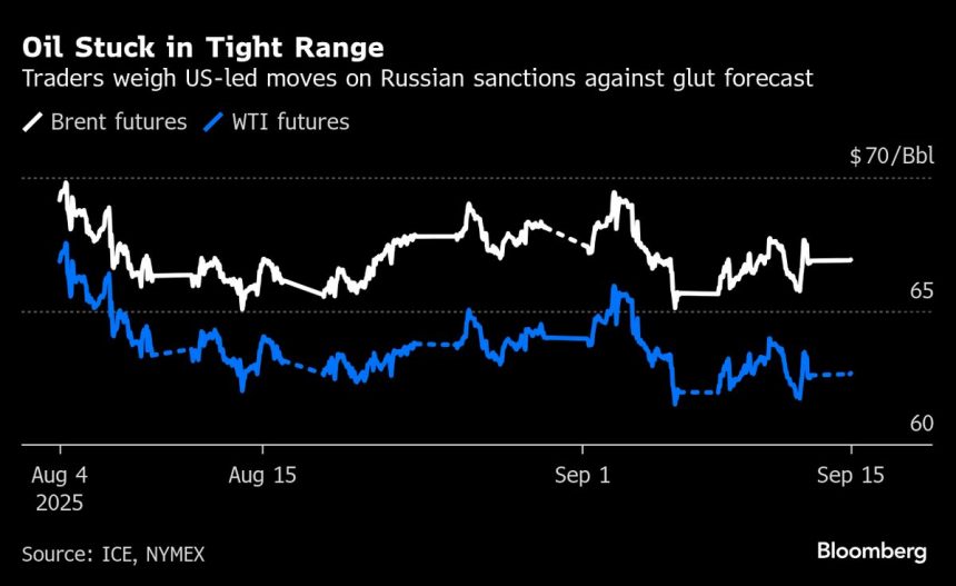 el-petroleo-se-mantiene-estable-con-el-enfoque-en-el-comercio-ruso,-inminente-en-exceso