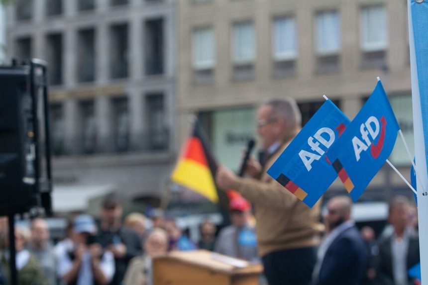 como-la-afd-se-convirtio-en-el-principal-partido-de-oposicion-de-alemania