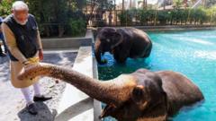 el-zoologico-privado-de-la-familia-multimillonario-india-se-despejo-del-‘juego-sucio’