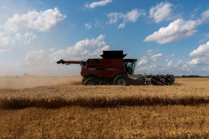 usda-considerando-la-ayuda-economica-para-los-agricultores-este-otono,-dice-el-secretario